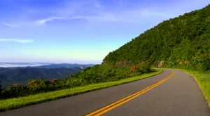 沥青柏油公路图片_13