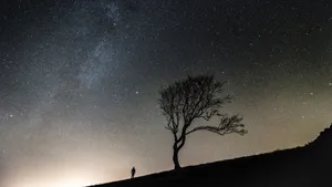 仰望星空图片壁纸_6