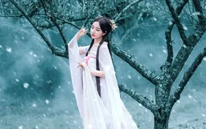唯美古装美女壁纸图片_4