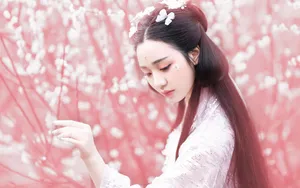 唯美古装美女壁纸图片_7