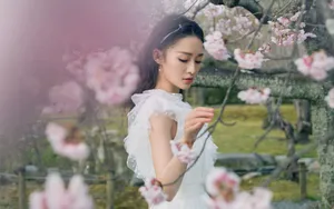 李沁桌面壁纸_8