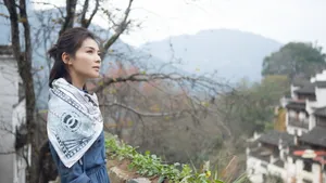 刘涛图片大全_13