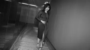 辛芷蕾图片壁纸_14