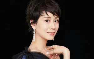 海清迷人透视装图片_6