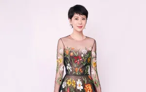 海清迷人透视装图片_8