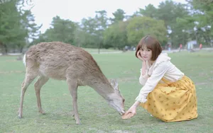 粉嫩的户外短发美女图片壁纸_3