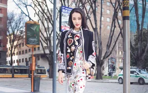 美女动人的迪丽热巴街拍图片_6