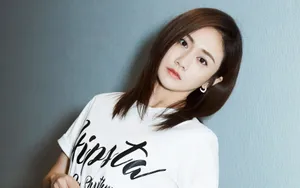 美女刘芸图片壁纸_11