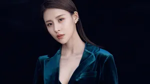 美女贾青桌面壁纸_7
