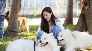 美女宋妍霏图片壁纸_11