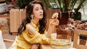 赵韩樱子图片