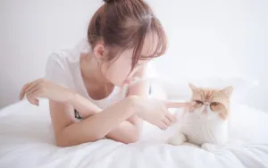 丸子头少女床上图片_13