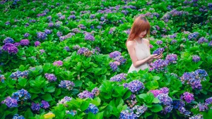 花海中的美女图片壁纸_2