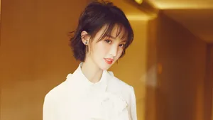 金晨图片