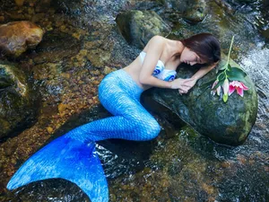 美人鱼美女桌面壁纸