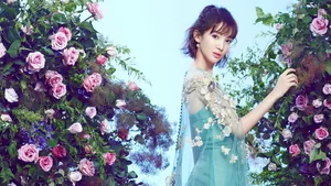 女明星金晨桌面壁纸_10