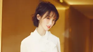 女明星金晨桌面壁纸_14