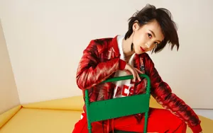 美女金晨图片壁纸_4