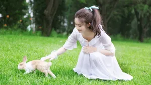 女演员孟子义桌面壁纸_7