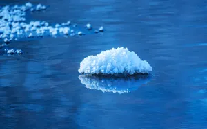 雾凇风景图片壁纸_5