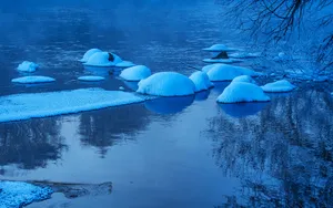 雾凇风景图片壁纸_10