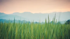 5k湖光山色图片壁纸_8
