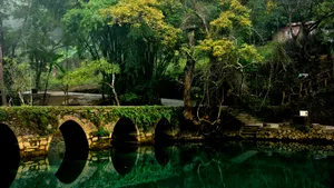 贵州荔波小七孔风景壁纸_2
