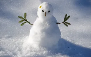 堆雪人游戏图片_7
