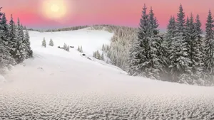 森林雪地雪景图片壁纸_9