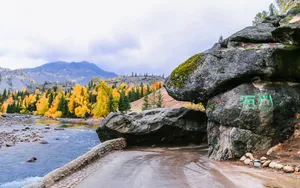 秋季的可可托海景色图片_7