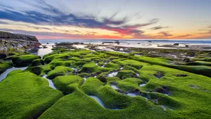 黄昏海边夕阳残阳图片_8