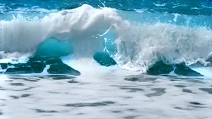 海洋巨浪浪花图片_3