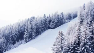 高山唯美4k雪景图片_2