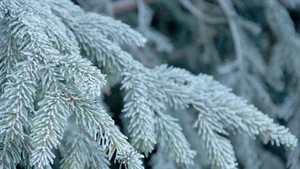 高山唯美4k雪景图片_9