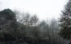 好看的景色图片壁纸_8