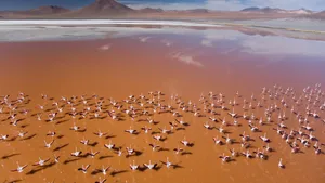 唯美海边风景图片壁纸_9