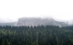自然风景大图桌面壁纸_3