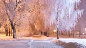 雪地树木景色壁纸_3