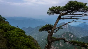 江西三清山优美风景图片_17
