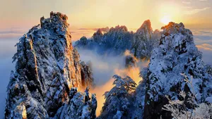 柔和美丽的风景图片壁纸_14