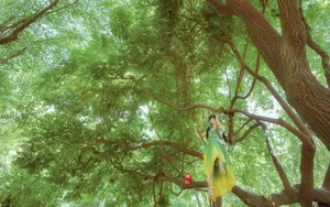唯美古装少女写真图集壁纸_8