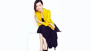 美女车晓图片壁纸_3