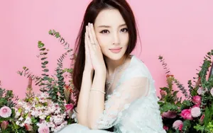 美女明星李小璐壁纸_6