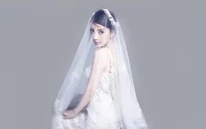 美女明星李小璐壁纸_9