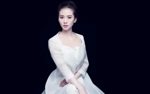 刘诗诗桌面壁纸_23