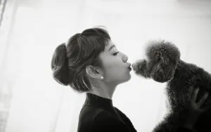 韩国美女朴信惠壁纸_2
