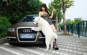 奥迪A6L改装车美女苏夏图片_2