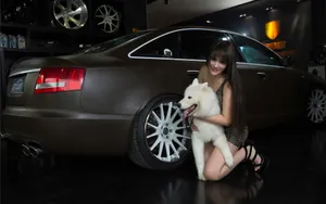 奥迪A6L改装车美女苏夏图片_10