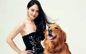 女明星樊蕊壁纸_12