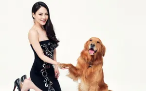 女明星樊蕊壁纸_13